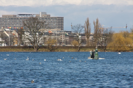 ./20080316-133253.jpg