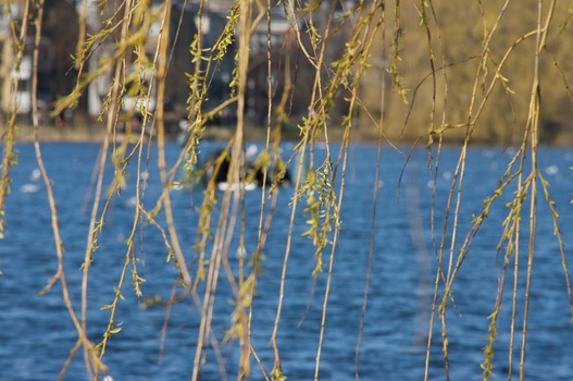 ./20080316-133433.jpg