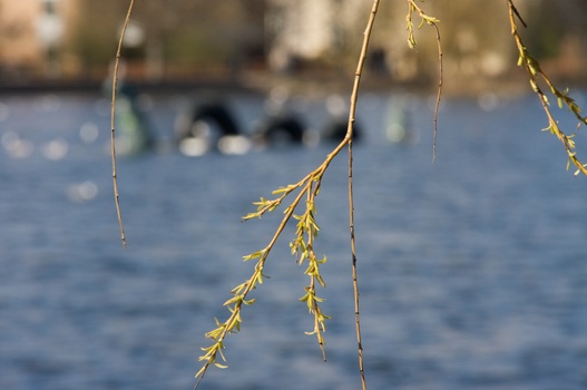 ./20080316-133548.jpg