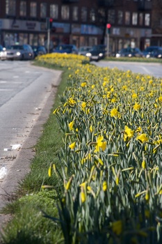 ./20080316-134901.jpg