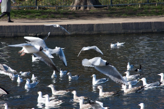 ./20080316-135243.jpg