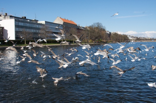 ./20080316-135307.jpg