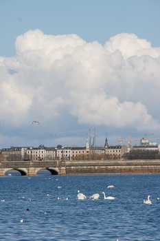 ./20080316-135352.jpg