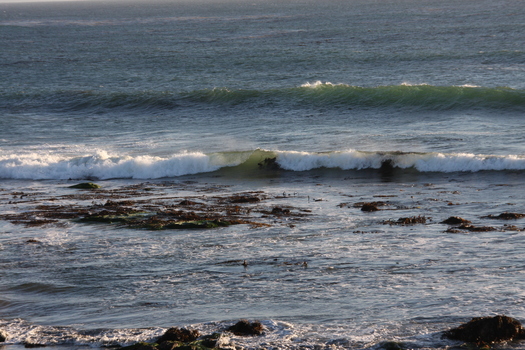 ./20131105-012934.jpg