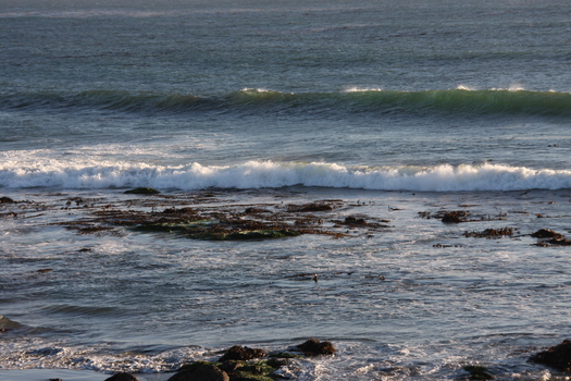 ./20131105-012935.jpg