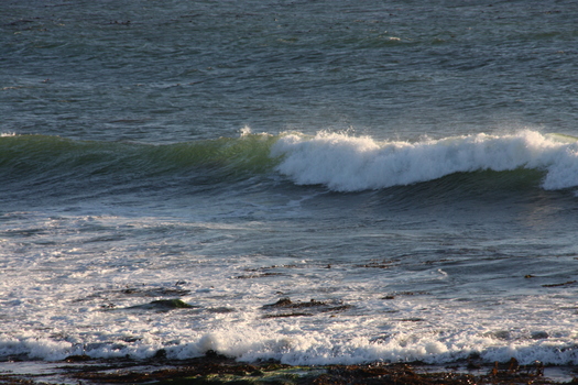 ./20131105-012939.jpg