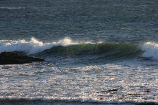 ./20131105-012940.jpg