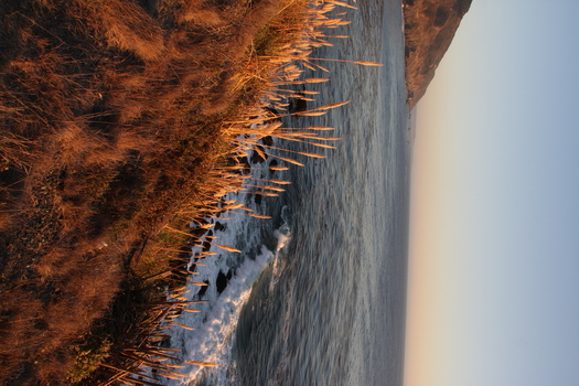 ./20131105-020226.jpg