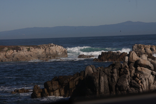 ./20131105-190938.jpg