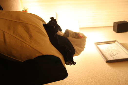 ./20131103-033504.jpg