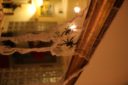 ./20131103-033557.jpg