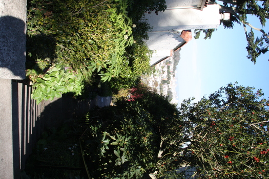 ./20131109-223330.jpg