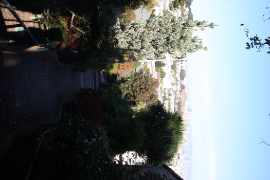 ./20131109-223438.jpg
