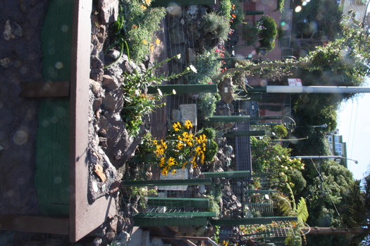 ./20131109-223720.jpg