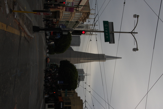 ./20131112-000222.jpg