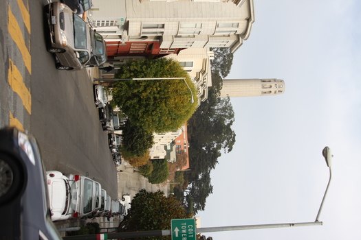 ./20131112-000525.jpg