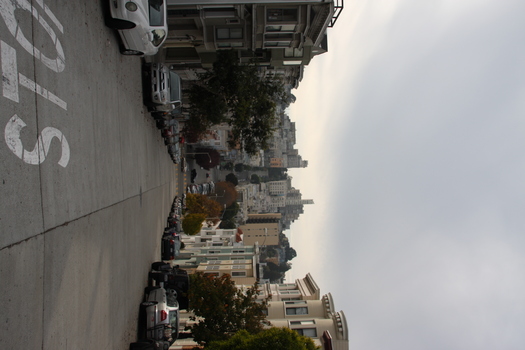 ./20131112-000649.jpg