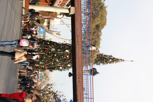 ./20131112-001708.jpg