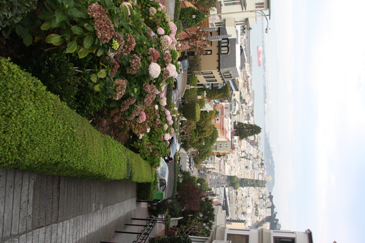 ./20131112-010129.jpg