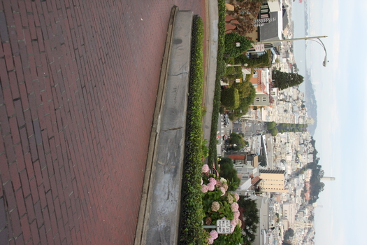 ./20131112-010141.jpg