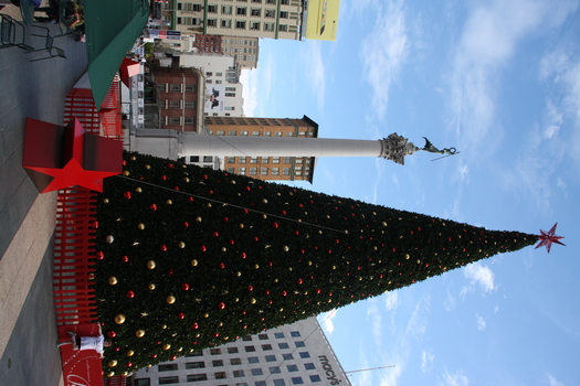 ./20131112-204946.jpg