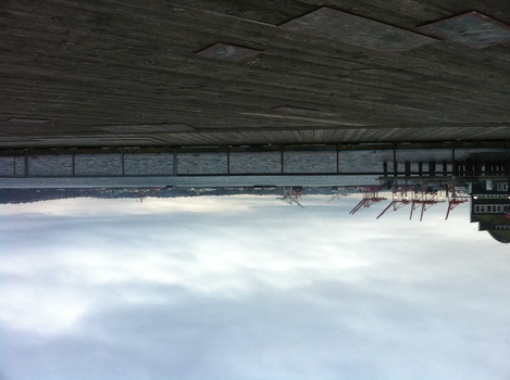 ./20120211-162854.jpg