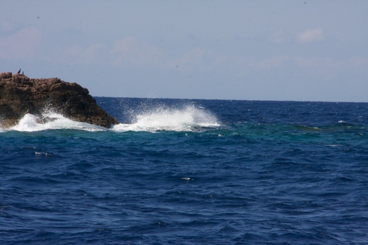 ./20111002-112912.jpg