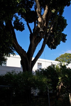 ./20111002-150450.jpg