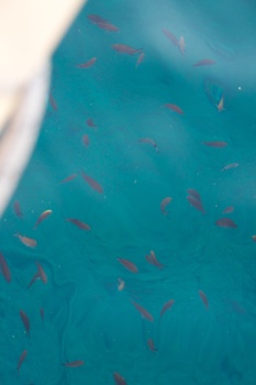 ./20111004-060920.jpg