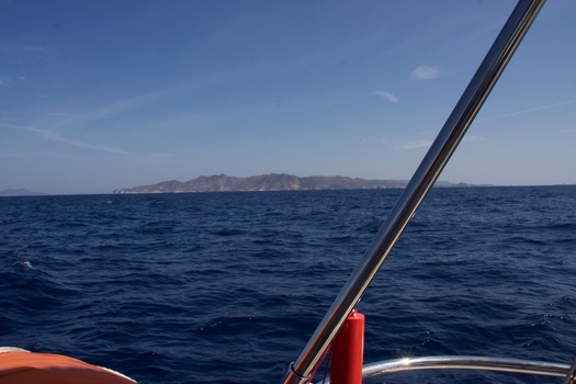 ./20111004-113721.jpg