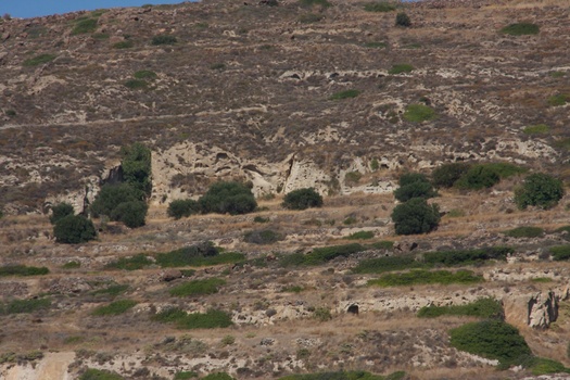 ./20111004-123644.jpg