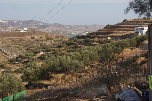 ./20111004-143651.jpg
