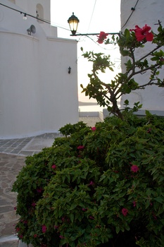 ./20111004-170557.jpg