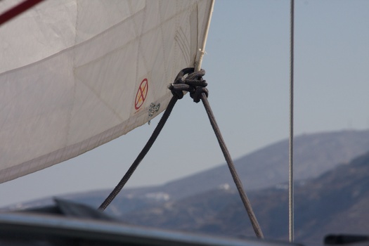 ./20111005-125208.jpg