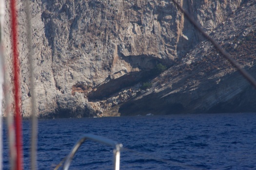 ./20111005-131817.jpg
