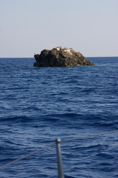 ./20111005-133642.jpg