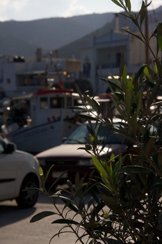 ./20111008-072907.jpg