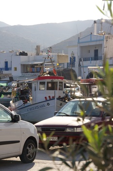 ./20111008-072912.jpg