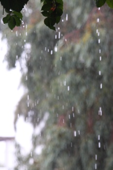 ./20111009-101754.jpg