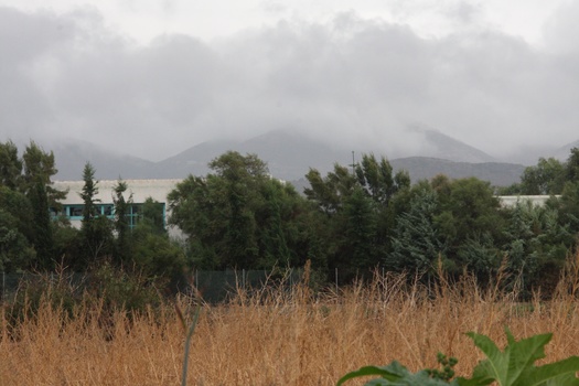 ./20111009-110635.jpg