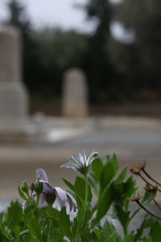 ./20111009-112720.jpg