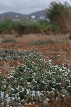 ./20111009-113617.jpg