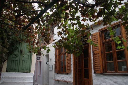 ./20111009-130727.jpg