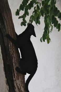 ./20111009-155727.jpg