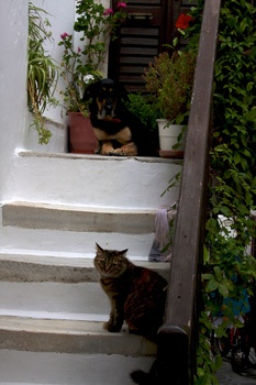 ./20111009-160005.jpg