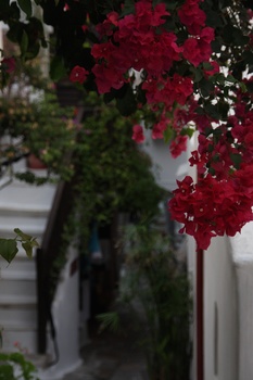 ./20111009-162034.jpg