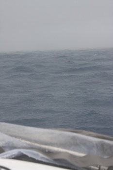 ./20111010-104615.jpg