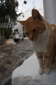 ./20111011-133721.jpg