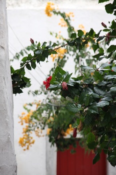 ./20111011-133945.jpg