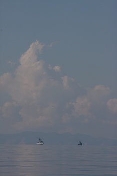 ./20111014-092032.jpg
